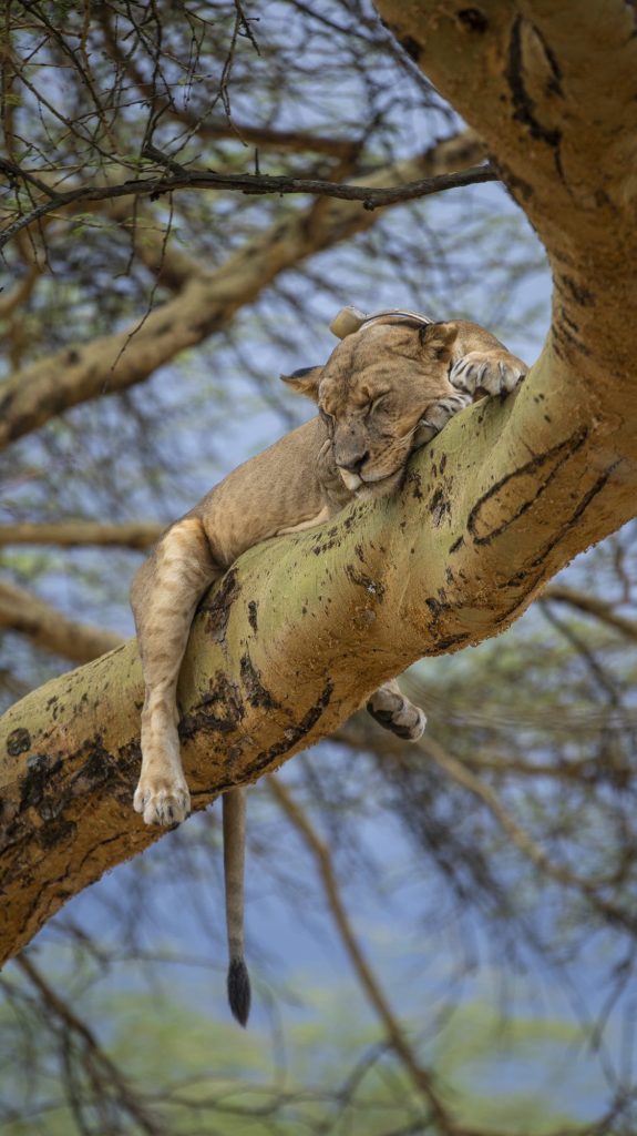 Lake Nakuru