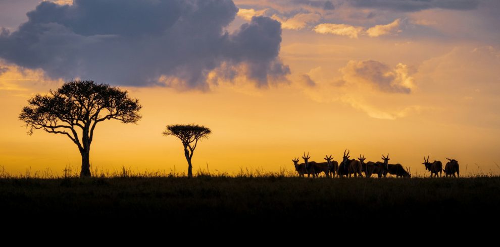 Maasai Mara