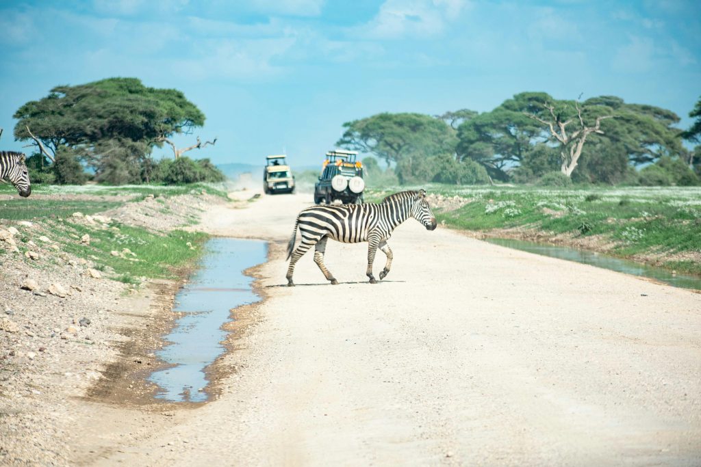 Amboseli