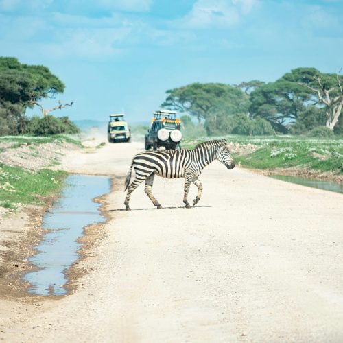 Amboseli