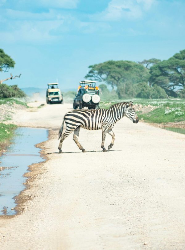 Amboseli