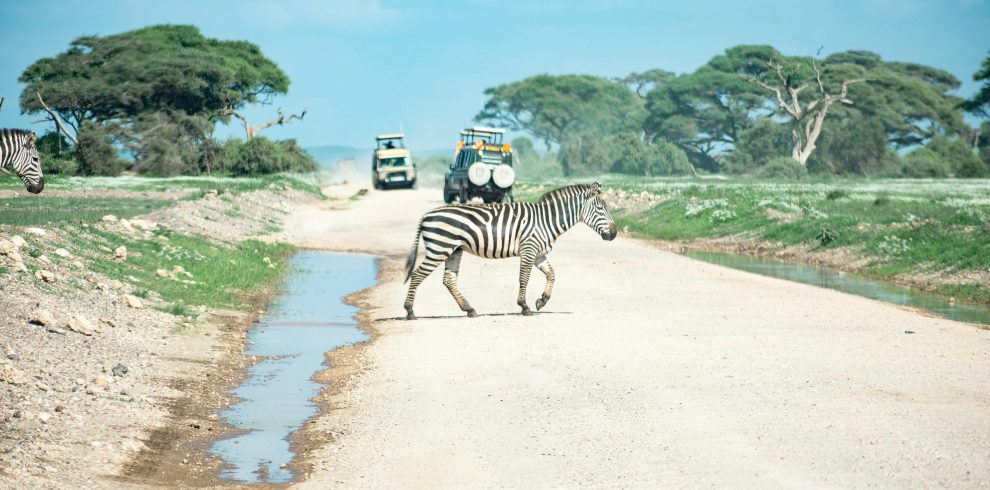 Amboseli