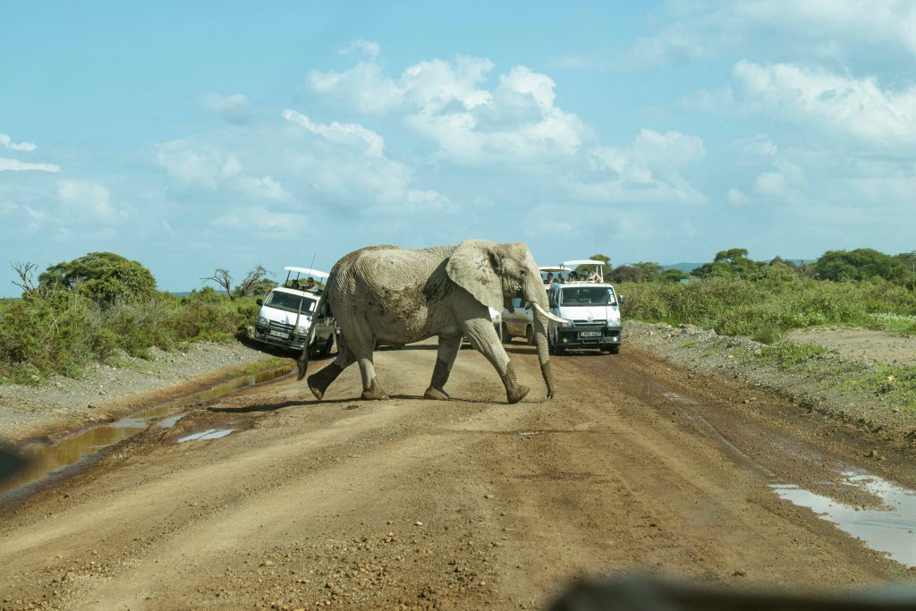 Amboseli
