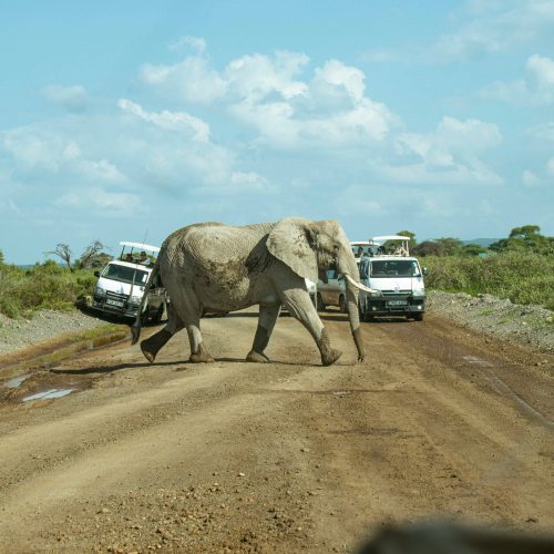 Amboseli