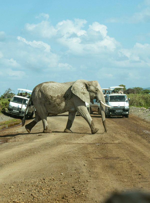 Amboseli
