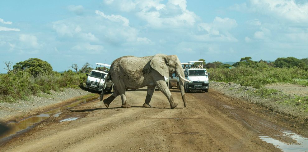 Amboseli