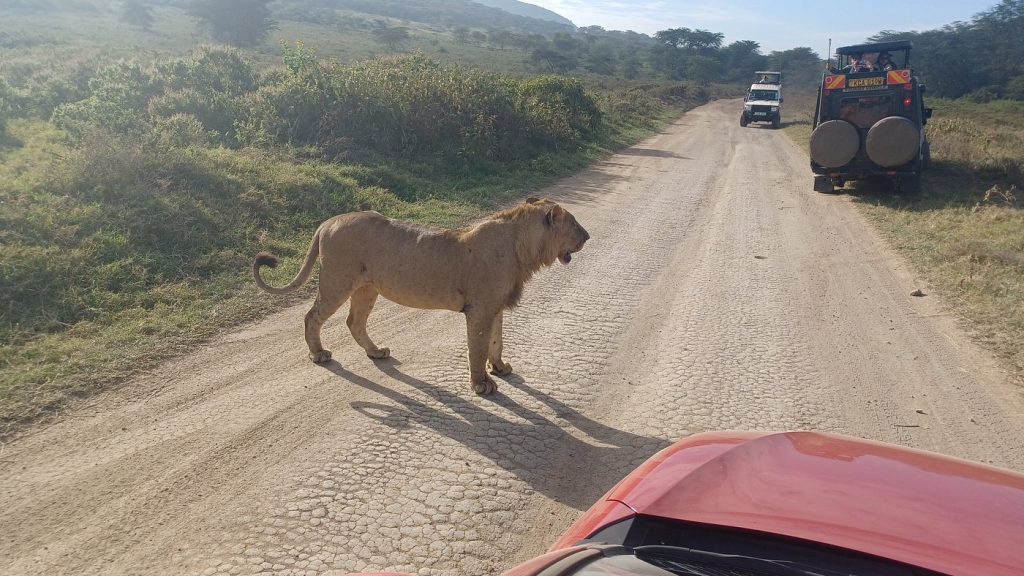 Lake Nakuru