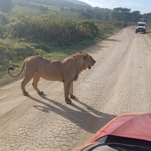Lake Nakuru