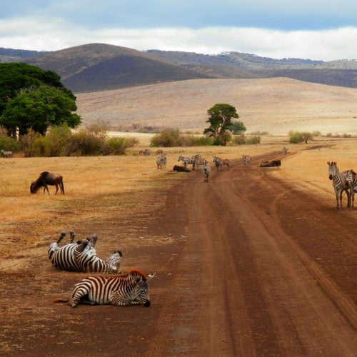 Tanzania