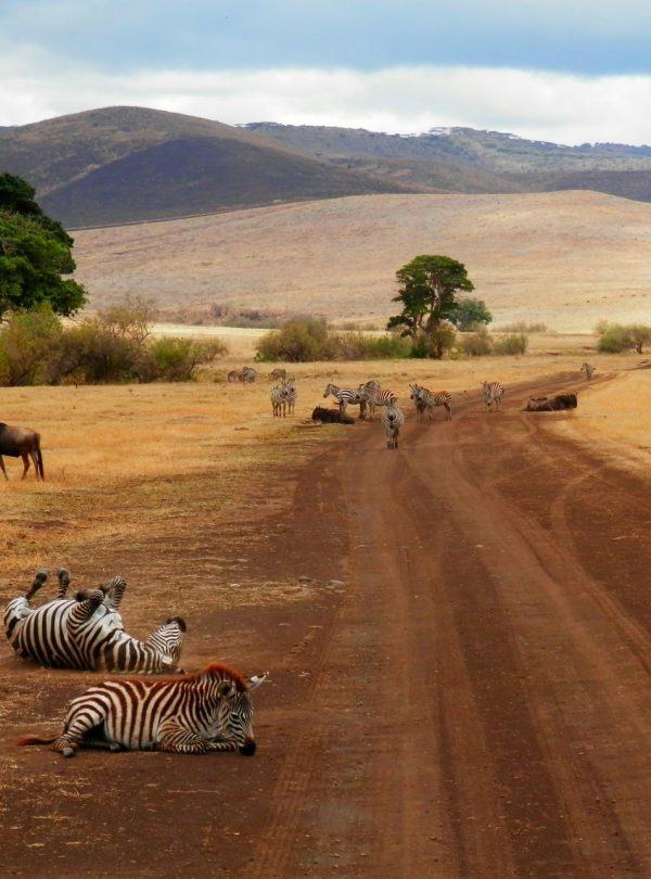 Karibu Kenya Safaris - Tanzania