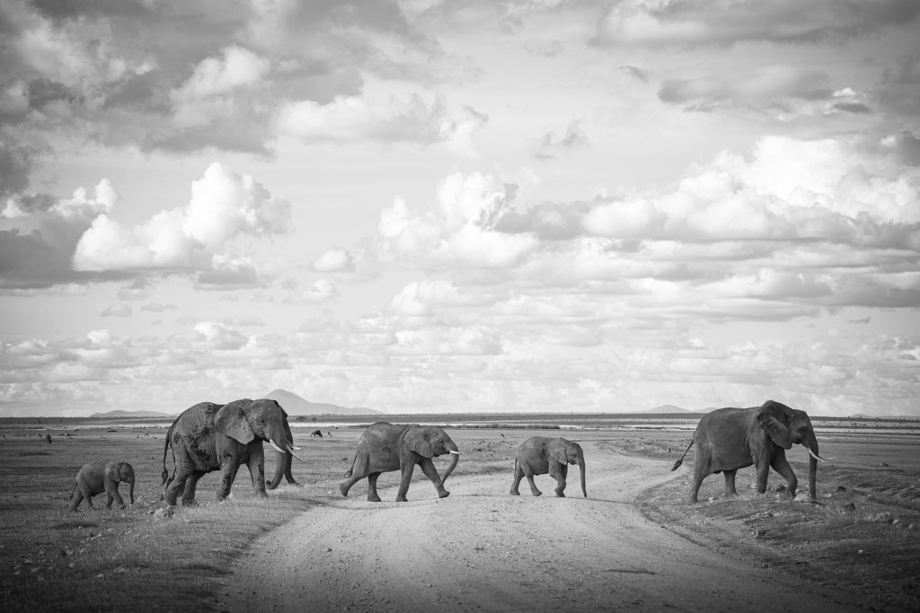 Amboseli