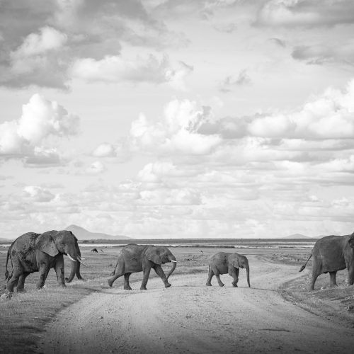 Amboseli
