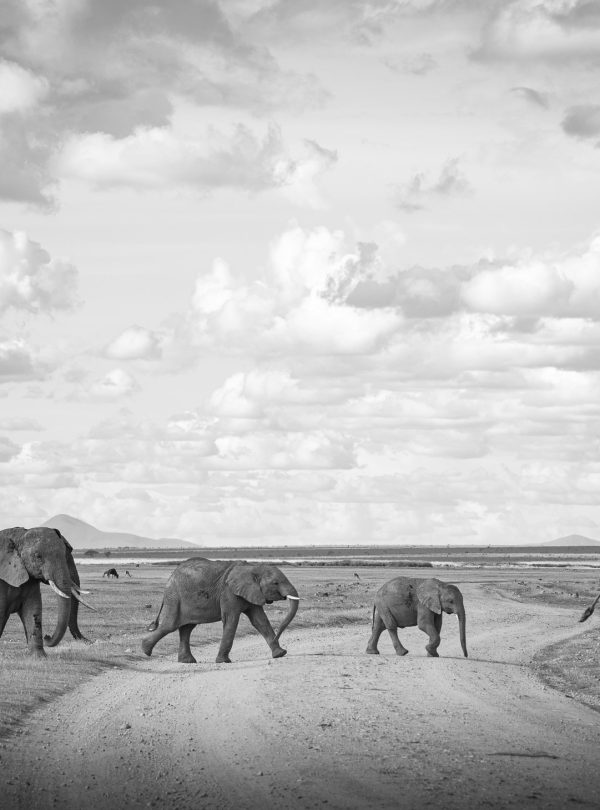 Amboseli