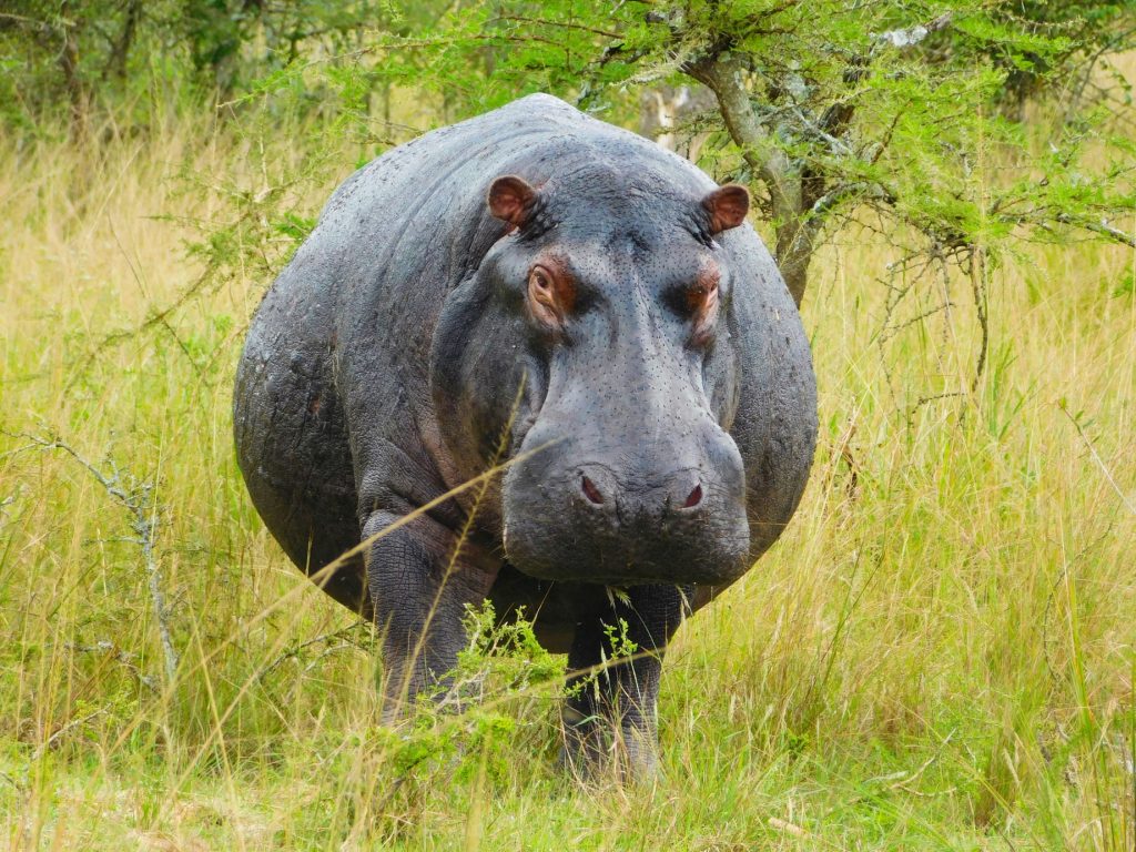 Rwanda