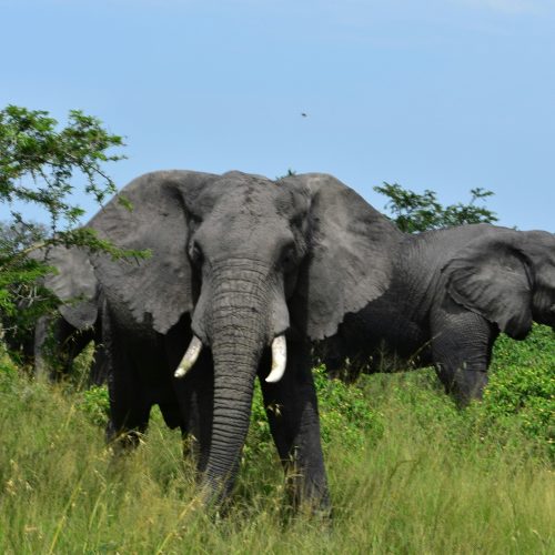 Rwanda