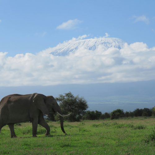 Amboseli