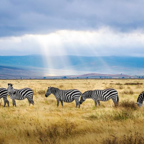 Tanzania