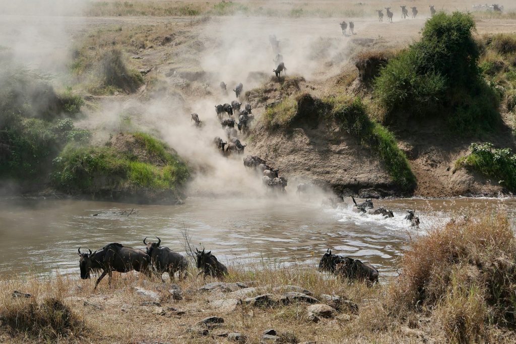 Maasai Mara
