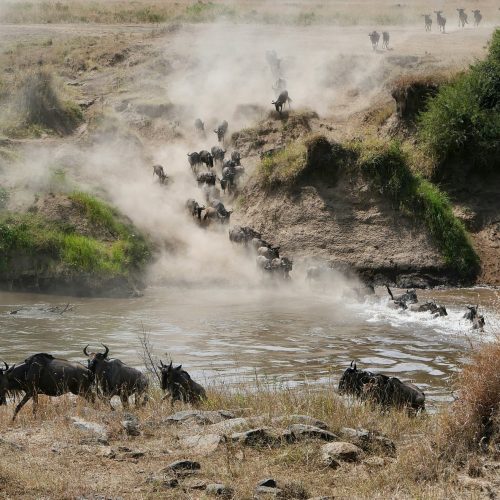 Maasai Mara