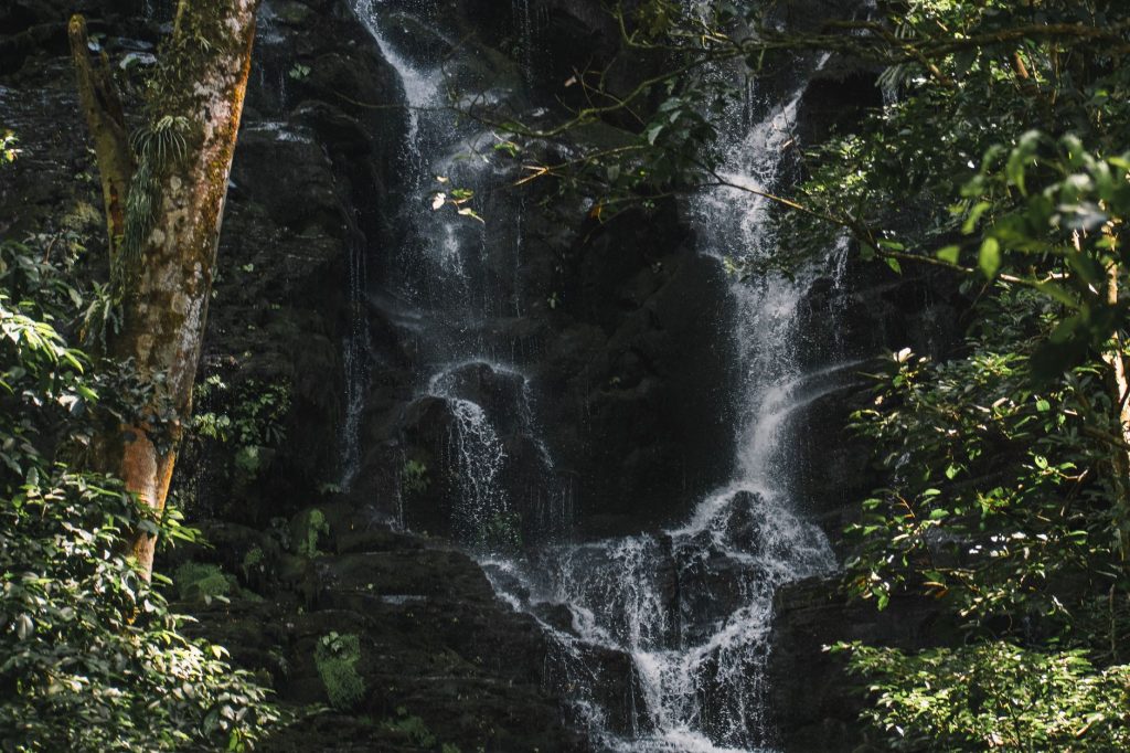 A serene waterfall cascades through dense forest greenery in Guanacaste, Costa Rica.