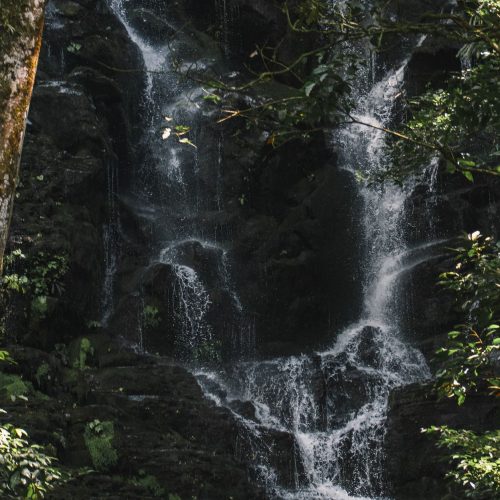 A serene waterfall cascades through dense forest greenery in Guanacaste, Costa Rica.