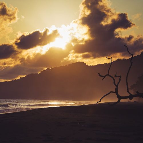 Stunning sunset at Puntarenas beach with dramatic clouds and silhouetted trees.