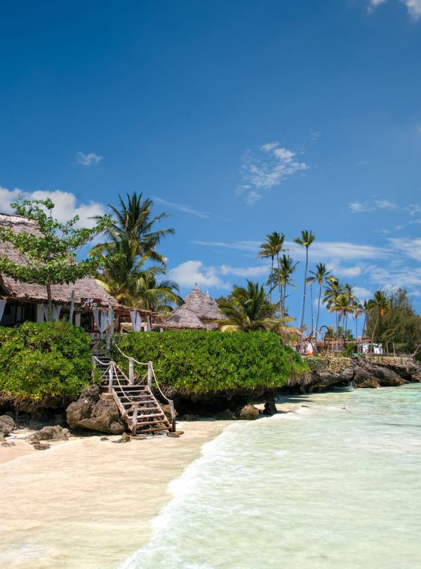 Karibu Kenya Safaris - Idyllic beachfront scene in Zanzibar with palm trees, turquoise sea, and a traditional villa.
