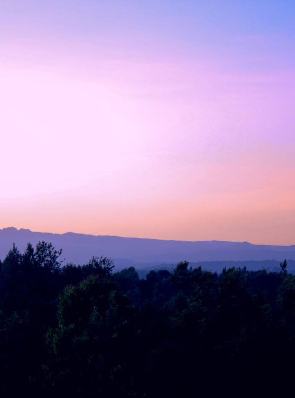 Karibu Kenya Safaris - Scenic view of sunset over Mount Kenya in Meru County, Kenya. Vibrant colors and silhouette of trees create a captivating landscape.