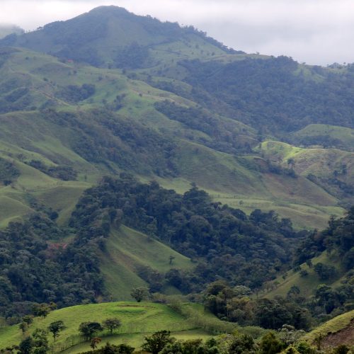 Scenic view of the verdant hills and lush forests of Monte Verde, Costa Rica.