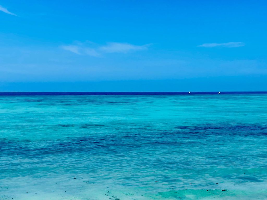 Explore the breathtaking turquoise waters of Zanzibar's serene beach, ideal for tropical escapes.