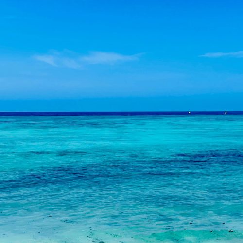 Explore the breathtaking turquoise waters of Zanzibar's serene beach, ideal for tropical escapes.