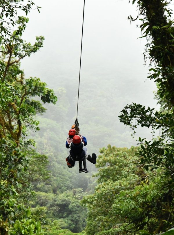 Karibu Kenya Safaris - Experience an exhilarating zip line ride through the lush Costa Rican rainforest, ideal for adventure seekers.
