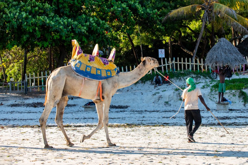 Mombasa